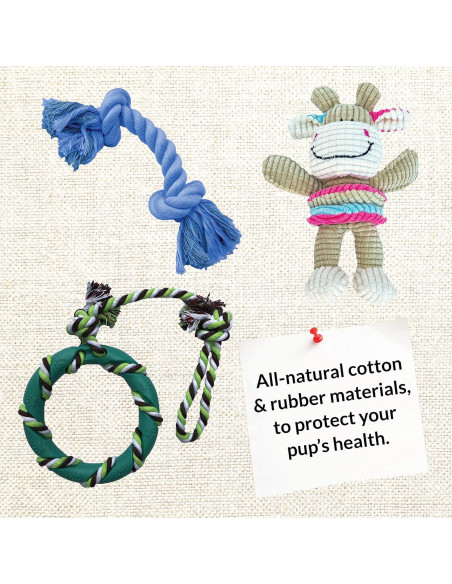 Conjunto de Juguetes para Masticar Perro Birch Brands 6 Piezas