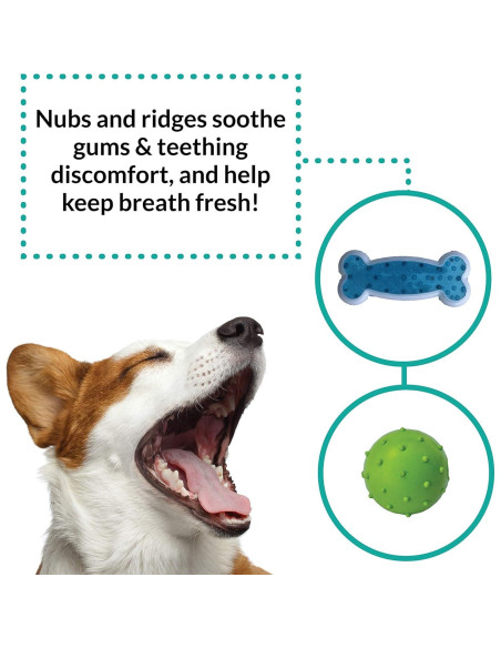 Conjunto de Juguetes para Masticar Perro Birch Brands 6 Piezas