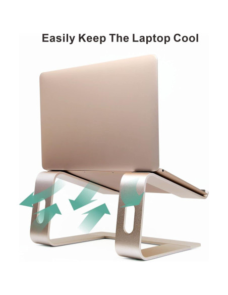 Soporte Ergonómico de Aluminio Cenawin 1324 - 10-17.3" Oro