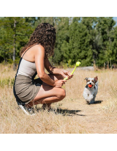 Pelota de Fetch Aérea Chuckit! Mediana 6.35 cm para Perros 2