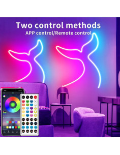 Tira de Luces LED Neón 10m Segrass RGB IP65 Control Remoto 2