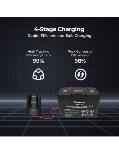 Controlador de Carga Solar MPPT Renogy 40A 12V/24V LCD