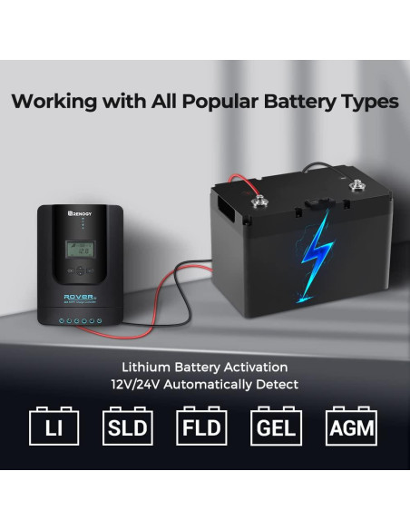 Controlador de Carga Solar MPPT Renogy 40A 12V/24V LCD