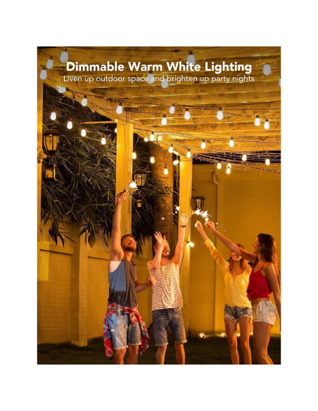 Luces de Cadena Inteligentes Govee H7021 29.26m RGBIC IP65