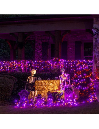 Luces de Cuerda RGB TW SHINE 200 LED 20m Control Remoto