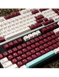 Juego de Teclas Mecánicas Mintcaps 253 Doubleshot Cherry 60% 75% 2