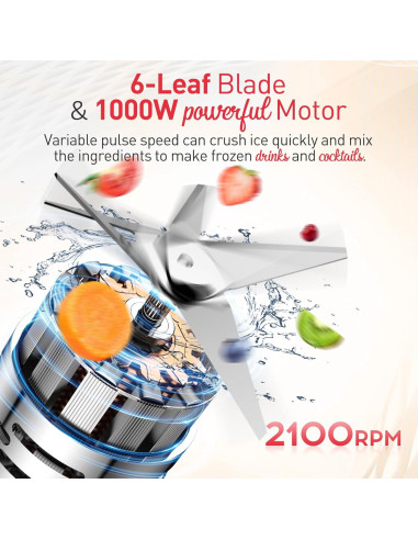 Licuadora JUSANTE Y66E 1000W 1.42L 5 velocidades