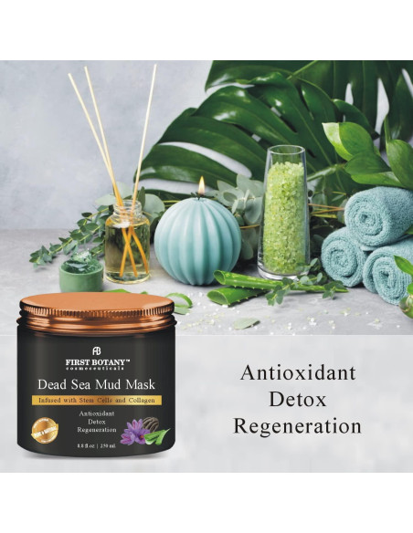 Máscara Facial de Arcilla del Mar Muerto First Botany 249g Máscara Facial de Arcilla del Mar Muerto First Botany 249g