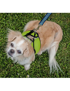 Arnés de Perro Suave RC Pet Products Step In Negro Pequeño 2