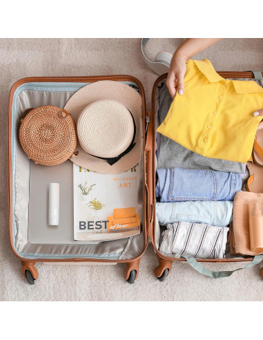 Rodillo Quitapelusas Mini Flint Blanco 30 Hojas Extra Adhesivas