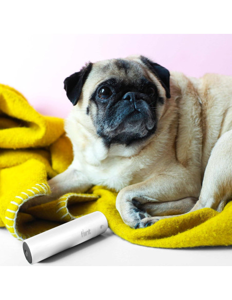 Rodillo Quitapelusas Mini Flint Blanco 30 Hojas Extra Adhesivas