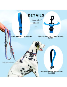 Correa para Perros ShawnCo Dream Walk - Nylon Verde Agua Pequeño 2