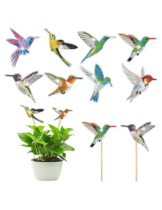 Kits de Pintura de Diamantes Vcekract 8 Pcs Jardín Colibrí