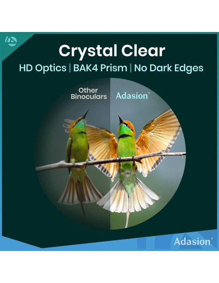Binoculares Adasion 12x42 HD Impermeables con Adaptador