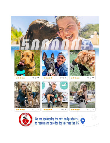 Botella de Agua para Perros Lesotc 520ml a Prueba de Fugas