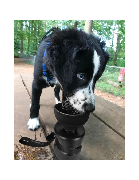 Botella de Agua para Perros Lesotc 520ml a Prueba de Fugas