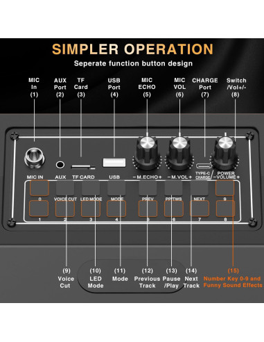 Karaoke Portátil YUOIOYU C1 con 2 Micrófonos y Luces LED