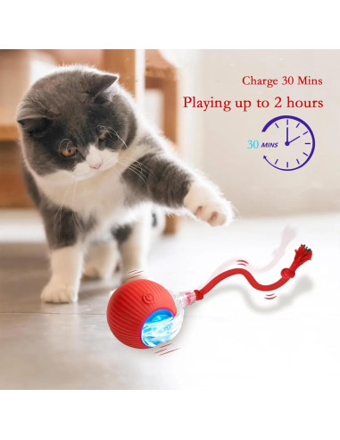 Juguete Interactivo para Gatos BLUEYPET Bola Recargable