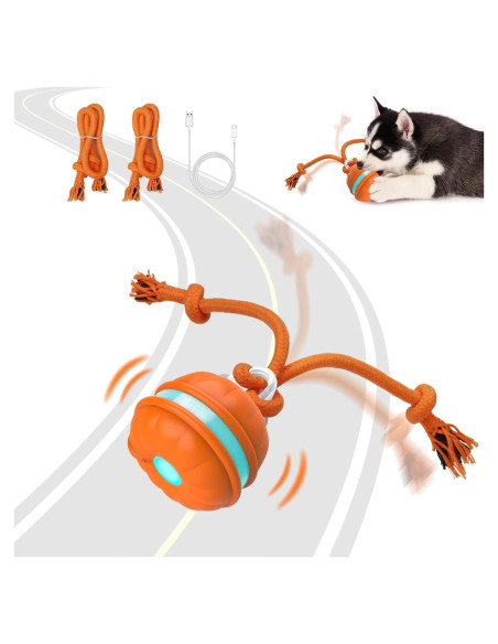 Bola Interactiva para Perros Sofolor 6.2cm Recargable USB