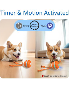 Bola Interactiva para Perros Sofolor 6.2cm Recargable USB 2