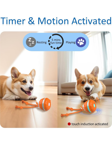 Bola Interactiva para Perros Sofolor 6.2cm Recargable USB