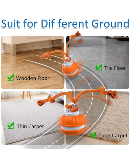 Bola Interactiva para Perros Sofolor 6.2cm Recargable USB