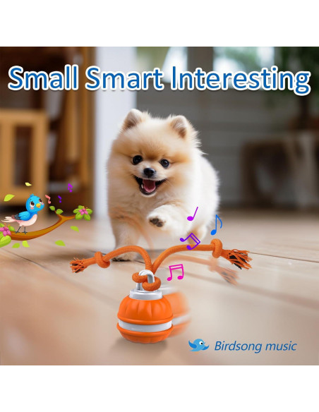 Bola Interactiva para Perros Sofolor 6.2cm Recargable USB