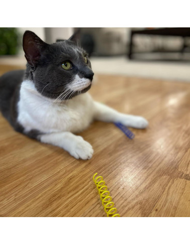 Juguetes de Resorte Coloridos SPOT para Gatos - 10 Pcs