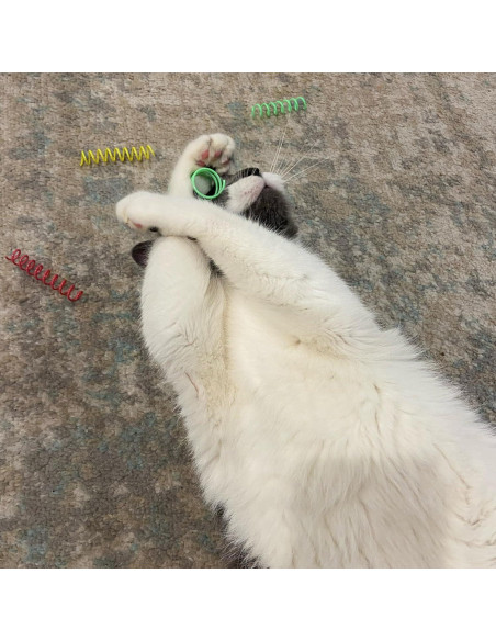 Juguetes de Resorte Coloridos SPOT para Gatos - 10 Pcs