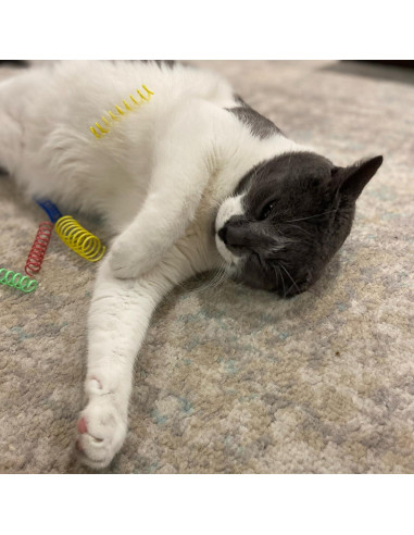 Juguetes de Resorte Coloridos SPOT para Gatos - 10 Pcs