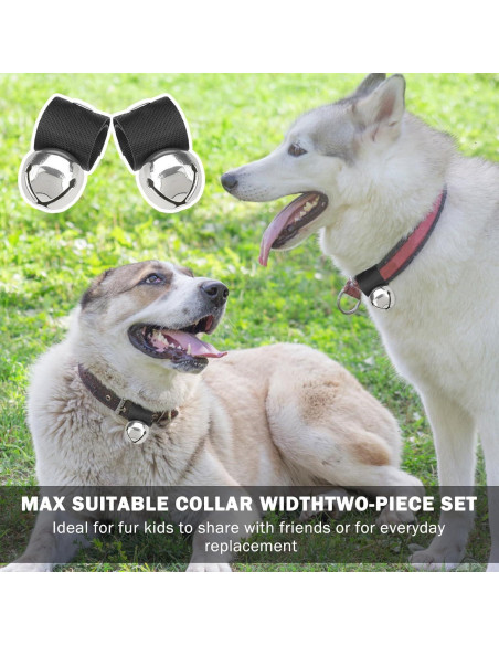 Campana para Perros SCENEREAL, 2 Campanas Antirrobo Plata