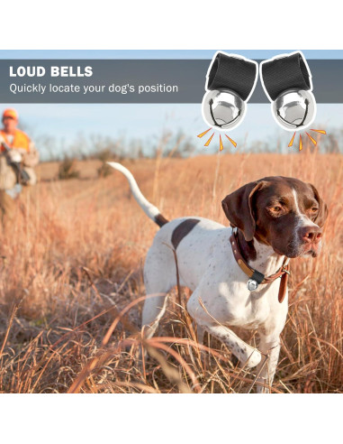 Campana para Perros SCENEREAL, 2 Campanas Antirrobo Plata