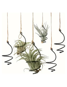 Juego de 6 Soportes Colgantes para Plantas de Aire Nwsrayu