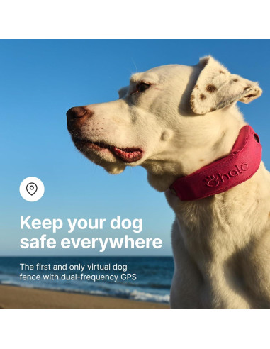 Halo Collar 4 GPS para Perros - Collar Inalámbrico Impermeable