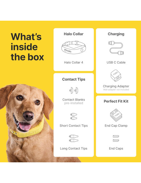 Halo Collar 4 GPS para Perros - Collar Inalámbrico Impermeable