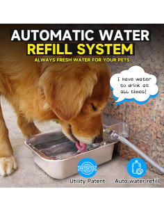 Dispensador Automático de Agua para Perros PETSOLON 3L Acero Inoxidable 2