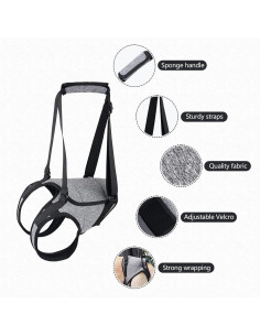 Arnés Elevación para Perros HDKUW XL Soporte Patas Traseras 2