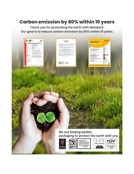 Cerradura Inteligente MENDOCK UF01 Teclado Iluminado IP54