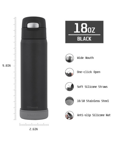 Botella de Agua Aislada TSURUYA 532ml con Pajilla y Doble Pared