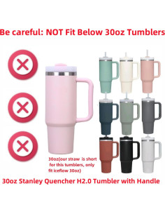 Popotes Reutilizables GL-Auking para Stanley Iceflow 30oz - 4 Unidades 2