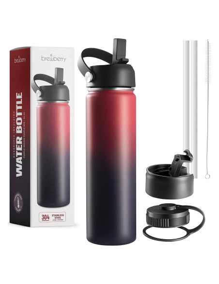 Botella de Agua Aislada Brewberry 600ml Orquídea Púrpura