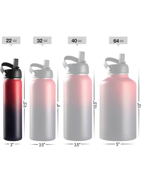 Botella de Agua Aislada Brewberry 600ml Orquídea Púrpura