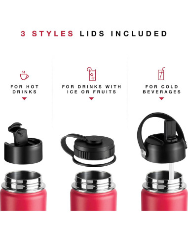 Botella de Agua Aislada Brewberry 600ml Orquídea Púrpura