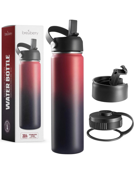 Botella de Agua Aislada Brewberry 600ml Orquídea Púrpura