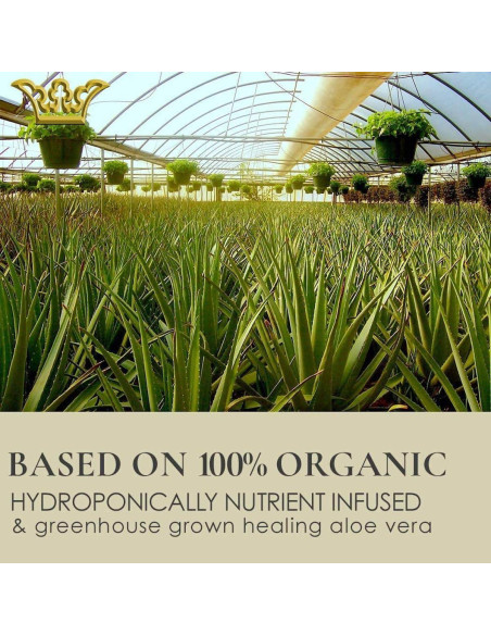 Suero Rejuvenecedor GUNILLA 30 ml Hidratante Antiarrugas