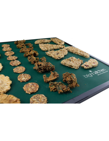 Juego de 3 hojas de silicona 35.5 x 35.5 cm Bright Kitchen