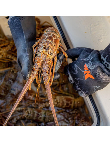 Guantes de Pesca KastKing IceRiver 100% Impermeables