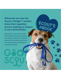 Frisbee para Perros Good Scout 22cm Duradero y Colorido 2