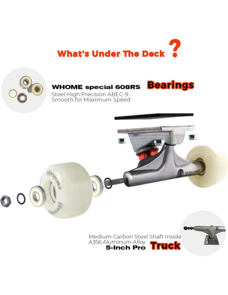 Patineta WHOME 31" Pro Estándar 8 Capas Arce 220 lbs