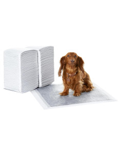 Almohadillas Entrenamiento Cachorros Amazon Basics 120 Pzas